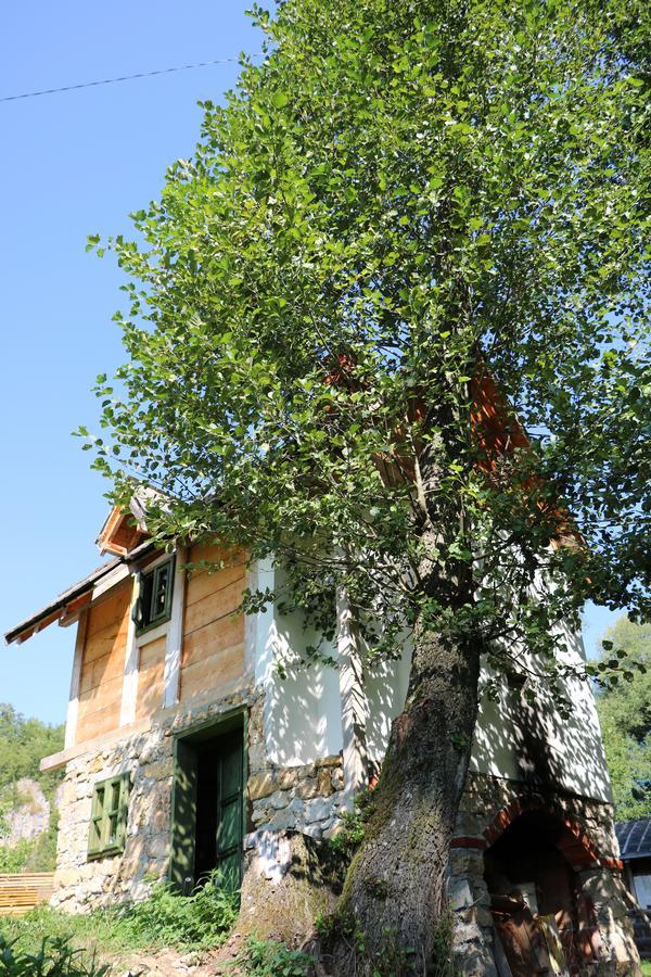 Eco Camp Dzogaska Vrela Hotel Pljevlja Exterior photo